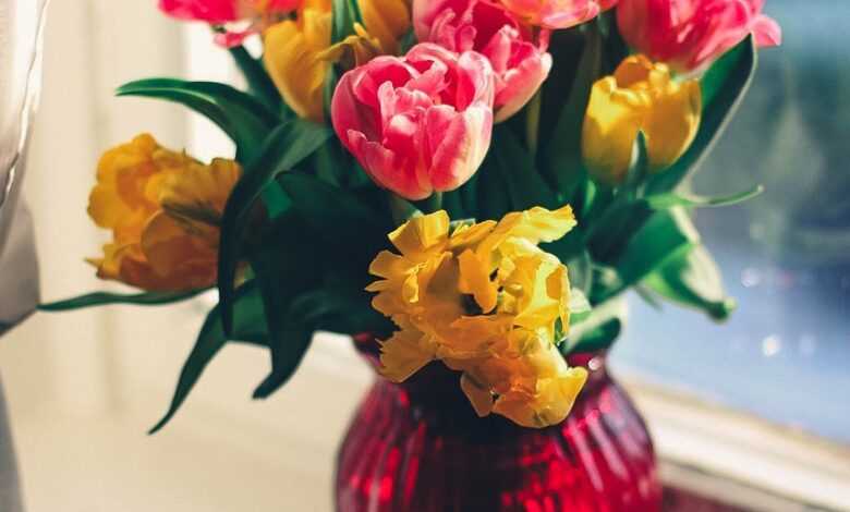 vase, flowers, flower background