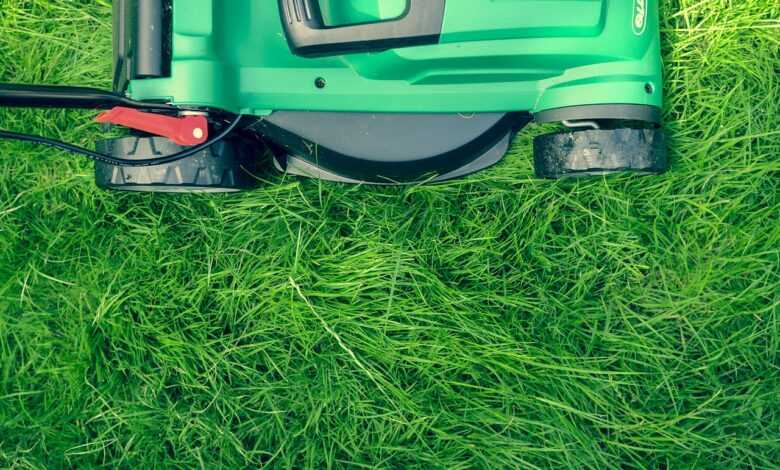 grass, green, lawn, lawn mower, lawn, lawn, lawn mower, nature, lawn mower, lawn mower, lawn mower, lawn mower