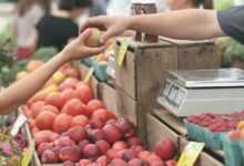 apples, farmer's market, buy, buying, consumer, customer, sell, business, deal, fruits, give, hands, sale, produce, fresh produce, fruit stand, buy, buy, buying, consumer, consumer, consumer, customer, customer, customer, customer, customer, sell, sell, business, business, business, business, deal, give, give, sale
