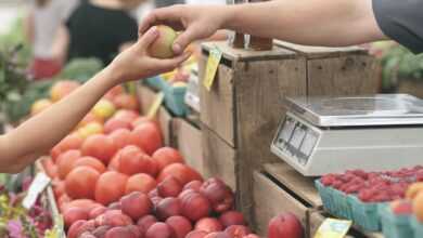 apples, farmer's market, buy, buying, consumer, customer, sell, business, deal, fruits, give, hands, sale, produce, fresh produce, fruit stand, buy, buy, buying, consumer, consumer, consumer, customer, customer, customer, customer, customer, sell, sell, business, business, business, business, deal, give, give, sale