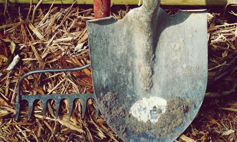 shovel, rake, dirt, farm, garden, hand tools, labor, metal, nature, tools