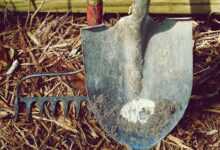 shovel, rake, dirt, farm, garden, nature, hand tools, labor, metal, tools
