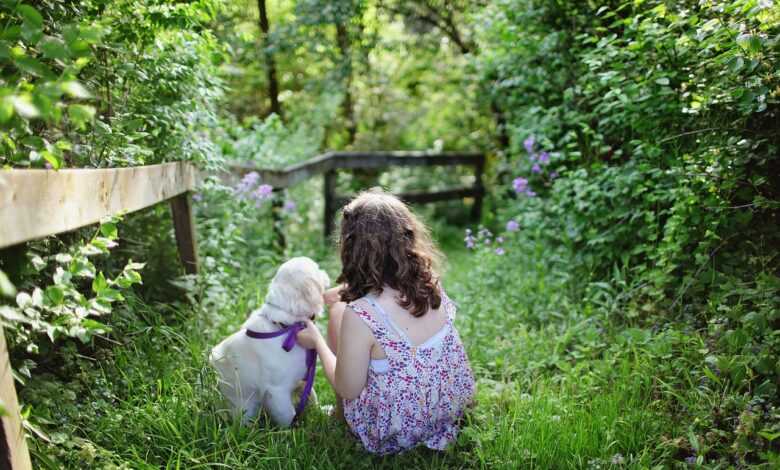 child, dog, pet