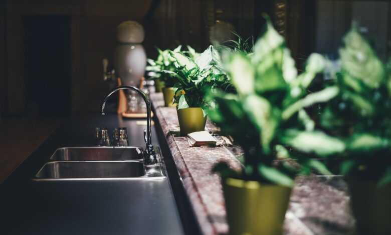 kitchen, tap, sink, faucet, furniture, home, indoors, interior design, interior decoration, tap water, kitchen sink, potted plants, kitchen, kitchen, kitchen, kitchen, kitchen, interior design