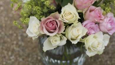 roses, flower wallpaper, vase