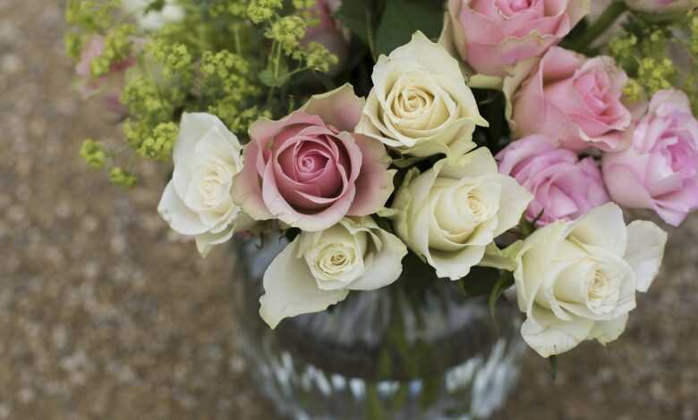 roses, flower wallpaper, vase