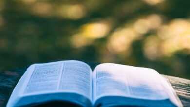 book, pages, open book, read, reading, knowledge, education, leisure, hobby, bookworm, chapters, literature, open, outdoors, research, study, book, book, book, book, book, open book, education, study