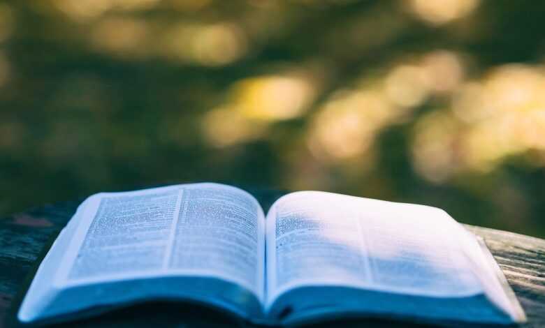 book, pages, open book, read, reading, knowledge, education, leisure, hobby, bookworm, chapters, literature, open, outdoors, research, study, book, book, book, book, book, open book, education, study