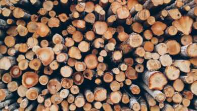 wood, pile, logs