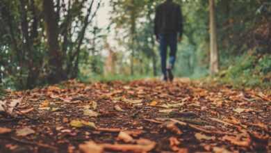 autumn, leaves, foliage, autumn leaves, autumn foliage, autumn colors, autumn season, fall foliage, fall leaves, fall colors, forest, nature, fallen leaves, fall, ground, man, outdoors, person, brown leaves, ground, ground, ground, ground, ground