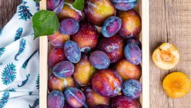 plum, fruit, food