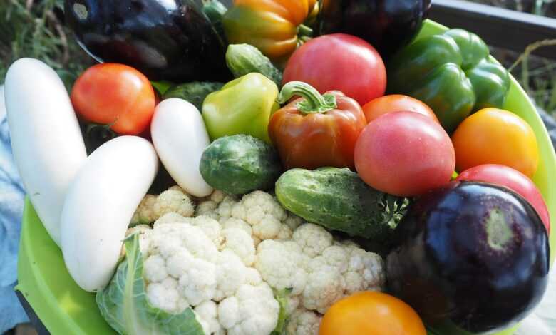 vegetables, summer, vegetarianism