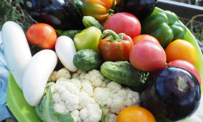 vegetables, summer, vegetarianism, country house, backyard, harvest, plant, tomato, red, a tomato, orange, close-up, nature, ripe tomatoes, zucchini