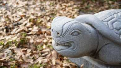 republic of korea, traditional, construct, korean tradition, forbidden city, pattern, hyanggyo, suwon, architecture, stone, zeolite, turtle