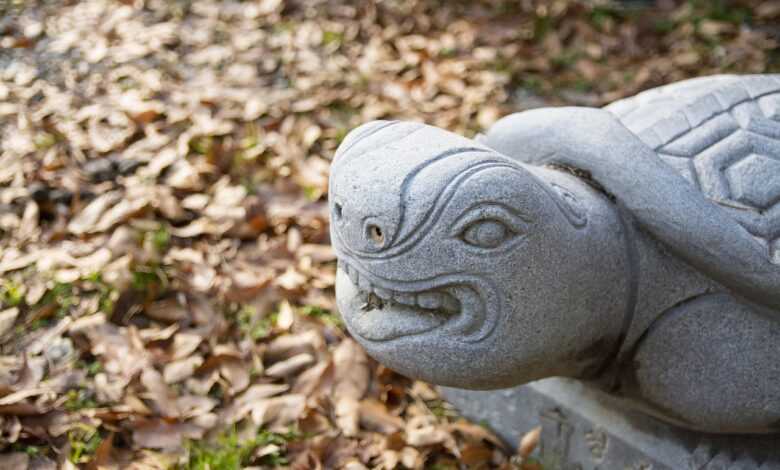 republic of korea, traditional, construct, korean tradition, forbidden city, pattern, hyanggyo, suwon, architecture, stone, zeolite, turtle