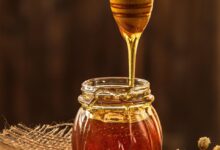 honey, yellow, beekeeper, nature, beekeeping, apiary, closeup, sweet, nectar, jar of honey, bee products, brown nature, brown natural, brown bee, world bee day, honey, honey, honey, honey, honey