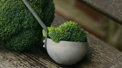 broccoli, vegetables, healthy, cook, nourishment, fresh, vegan, green, green vegetables, vegetarian, meal, vitamins, food, broccoli, broccoli, broccoli, broccoli, broccoli