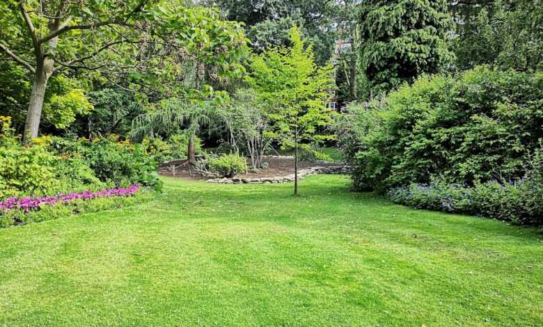 green grass field with trees