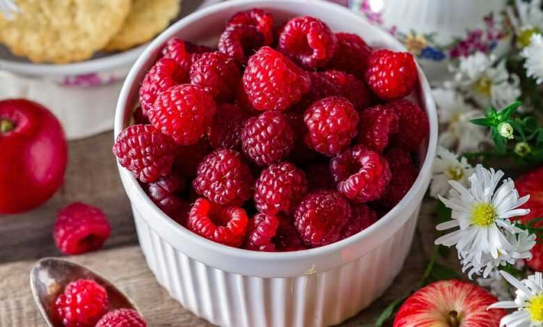 raspberry, berry, summer, garden, closeup, harvest, nature, ripe, plate, food, red, appetizing, breakfast, wallpaper for girls, iphone wallpaper, iphone wallpaper, iphone wallpaper, iphone wallpaper, iphone wallpaper, iphone wallpaper