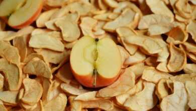 apple, dried apples, dry fruit