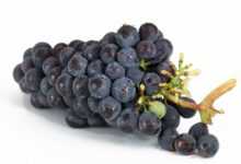 grapes, bunch, fruits