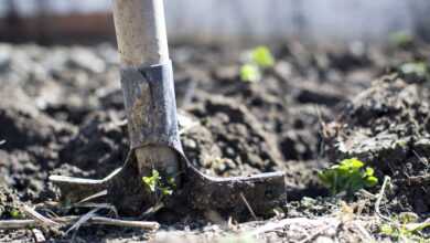 equipment, outdoors, dirt