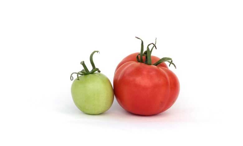 tomatoes, red, green