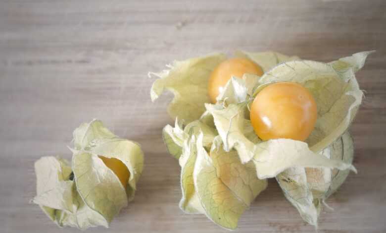 physalis, healthy, fruit