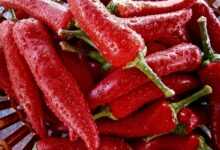 fruit, pepper, vegetable, vegetables, nature, pepper, pepper, pepper, pepper, pepper, vegetables