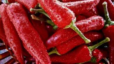 fruit, pepper, vegetable, vegetables, nature, pepper, pepper, pepper, pepper, pepper, vegetables
