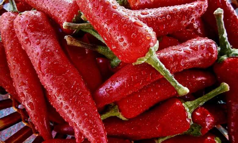 fruit, pepper, vegetable, vegetables, nature, pepper, pepper, pepper, pepper, pepper, vegetables