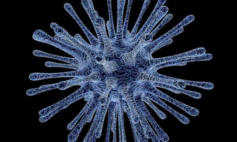 virus, bacterium, infection, disease, infectious disease, illness, biology, virus, virus, virus, virus, virus, disease