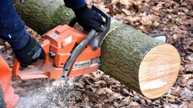 cutting wood, lumberjack, chainsaw, woodwork, tree trunks, lumber, lumberjack, chainsaw, chainsaw, chainsaw, chainsaw, chainsaw