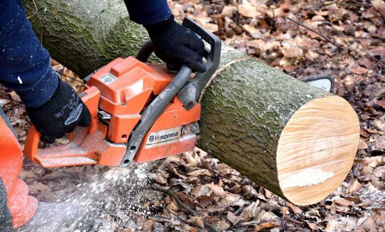 cutting wood, lumberjack, chainsaw, woodwork, tree trunks, lumber, lumberjack, chainsaw, chainsaw, chainsaw, chainsaw, chainsaw