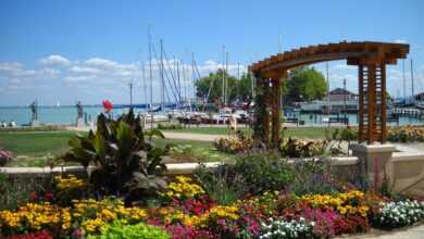 port, flowerbed, gate, flowerbed, flowerbed, flowerbed, flowerbed, flowerbed
