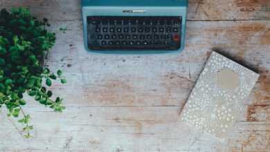vintage, typewriter, plant, book, nature, notebook, notepad, table top, retro, vintage typewriter