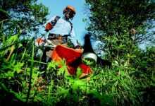 garden, grass cutter, gardening, nature, grass, man, outdoors, person, tools, gardener, green grass, gardening, gardening, gardening, gardener, gardener, gardener, gardener, gardener