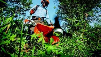 garden, grass cutter, gardening, nature, grass, man, outdoors, person, tools, gardener, green grass, gardening, gardening, gardening, gardener, gardener, gardener, gardener, gardener