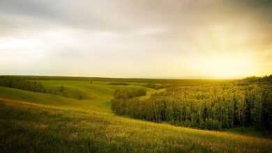 landscape, forest, open space, field, nature, summer, rain, mountains, abstract, open space, open space, open space, open space, open space