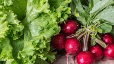 garden radish, vegetables, healthy