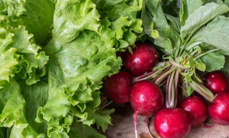 garden radish, vegetables, healthy