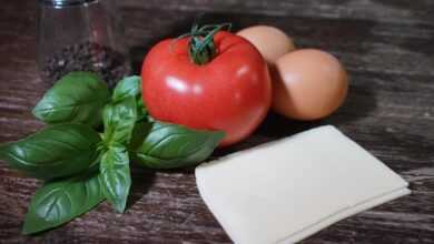 breakfast, ingredients, basil, eggs, tomato, food, cheese, vegetables, healthy diet, delicious, nature, vegetarianism