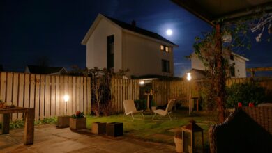 night, photography, netherlands, moon, garden, brown moon, nature, brown photography