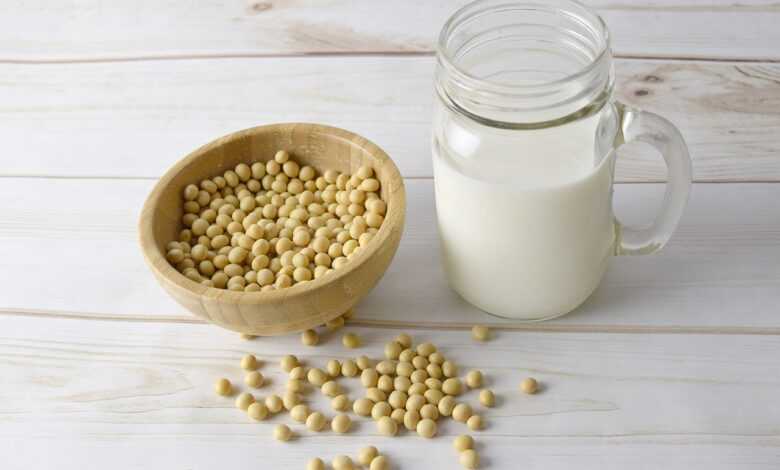 soy milk, soy, soybean, soy-milk, organic, seed, healthy, beverage, soy milk, soy milk, soy milk, soy milk, soy milk, soy, soy, soybean