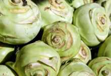 kohlrabi, vegetables, wild cabbage, german turnips, cabbage, food, raw, fresh, healthy, vitamins, tuber, kohl, green, market, kohlrabi, kohlrabi, kohlrabi, kohlrabi, kohlrabi, cabbage, cabbage, cabbage