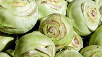 kohlrabi, vegetables, wild cabbage, german turnips, cabbage, food, raw, fresh, healthy, vitamins, tuber, kohl, green, market, kohlrabi, kohlrabi, kohlrabi, kohlrabi, kohlrabi, cabbage, cabbage, cabbage