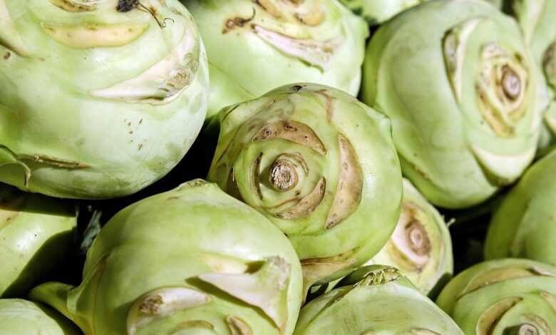 kohlrabi, vegetables, wild cabbage, german turnips, cabbage, food, raw, fresh, healthy, vitamins, tuber, kohl, green, market, kohlrabi, kohlrabi, kohlrabi, kohlrabi, kohlrabi, cabbage, cabbage, cabbage