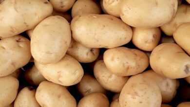 Photo of Pile Of Potatoes