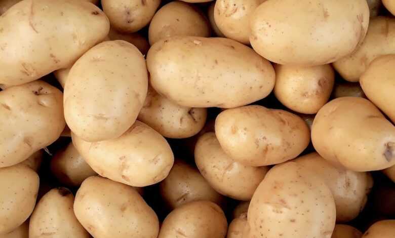 Photo of Pile Of Potatoes