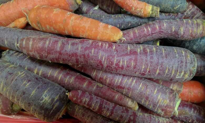 carrots, vegetables, vegetable garden